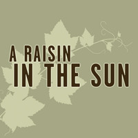 Mervyn Warren - A Raisin in the Sun (Music from the Original Television Movie)