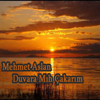 Mehmet Aslan - Duvara Mıh Çakarım