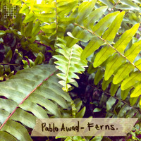 Pablo Awad - Ferns