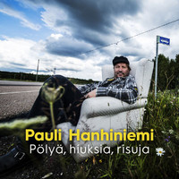 Pauli Hanhiniemi - Pölyä, Hiuksia, Risuja
