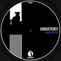 Consistency - House Cat