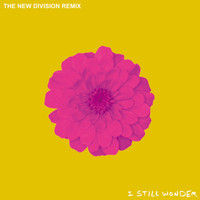 The Chain Gang Of 1974 - I Still Wonder (The New Division Remix)