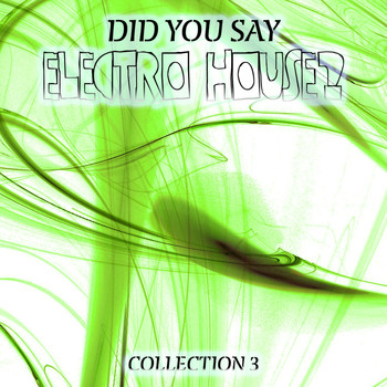 Various Artists - Did You Say Electro House? Collection 3