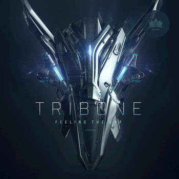 TRIBONE - Feeling the Gap