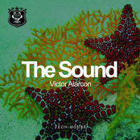 Victor Alarcon - The Sound