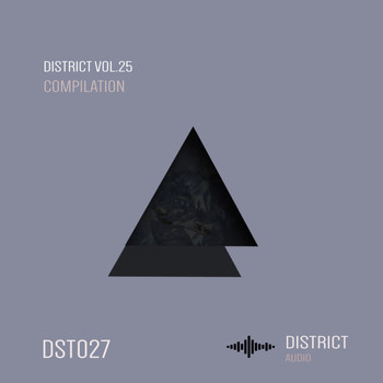 Various Artists - District 25
