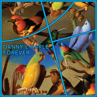 Danny L Harle - Forever