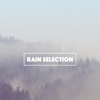Rain, Ocean Sounds and Rainfall - Rain Selection