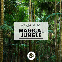 Roughnoize - Magical Jungle Original Extended Mix