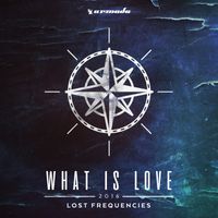 Lost Frequencies - What Is Love 2016