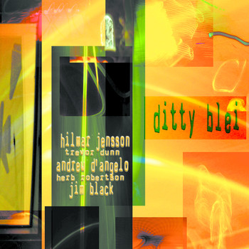 Hilmar Jensson - Ditty Blei