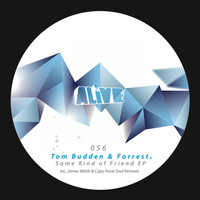Tom Budden & Forrest - Some Kind Of Friend EP