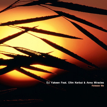DJ Yakeen - Release Me