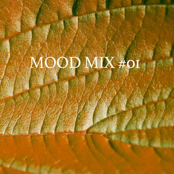 Various Artists - Mood Mix #01