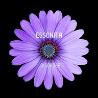 Essonita - Disorder