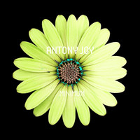 Antony Joy - Minimum