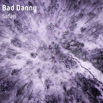 Bad Danny - Safari