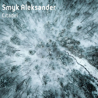 Smyk Aleksander - Citadel