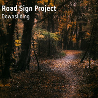 Road Sign Project - Downsliding