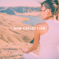 Yoga, Native American Flute and Relaxing Music Therapy - Aum Collection