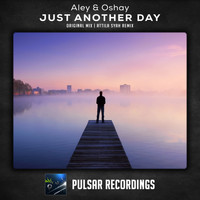 Aley & Oshay - Just Another Day