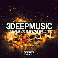 3DEEPMusic - Aint Bout That Life