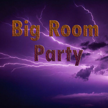 Various Artists - Big Room Party