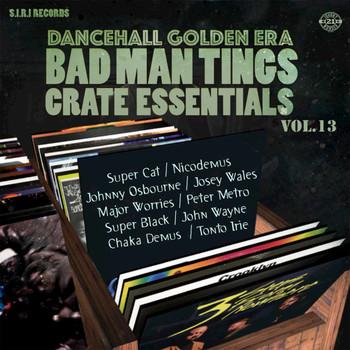 Various Artists - Dancehall Golden Era, Vol. 13 (Badman Tings)