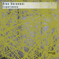Alex Veronesi - Experience