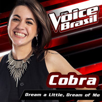 Cobra - Dream A Little Dream Of Me (The Voice Brasil 2016)