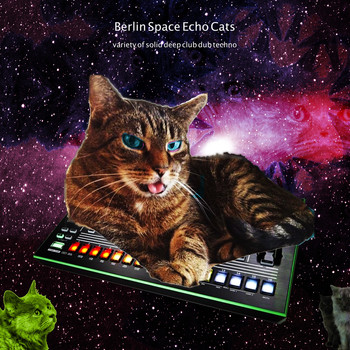 Various Artists - Berlin Space Echo Cats (Variety of Solid Deep Dub Techno)
