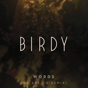 Birdy - Words (We Are I.V Remix)