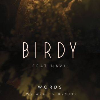 Birdy - Words (feat. Navii) (We Are I.V Remix)