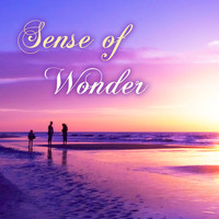 Stevie Best - Sense of Wonder - Best Meditation Music, Relaxing Spa Sounds Collection