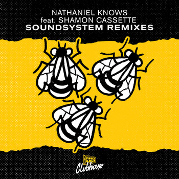 Nathaniel Knows - Soundsystem (feat. Shamon Cassette) (Remixes)