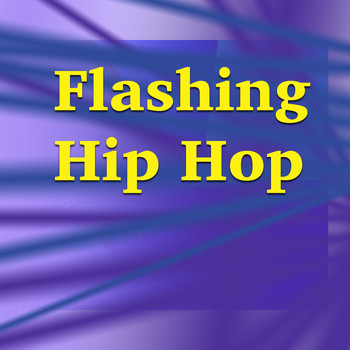 Various Artists - Flashing Hip Hop
