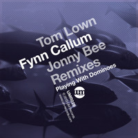 Fynn Callum - Playing With Dominoes