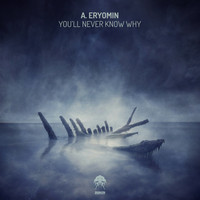 A.Eryomin - You'll Never Know Why