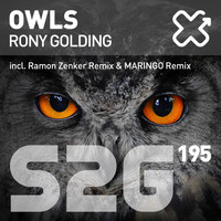 Rony Golding - Owls