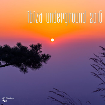Various Artists - Ibiza Underground 2016