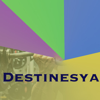 Various Artists - Destinesya