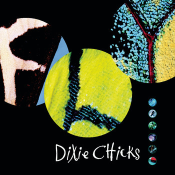 The Chicks - Fly