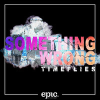 Timeflies - Something Wrong