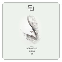 Aer & Ignis - Birds EP