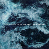 Fender Bender - In the Belly of a Shark
