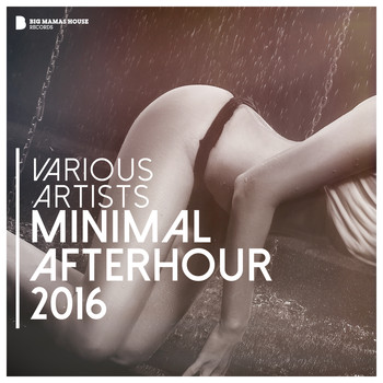 Various Artists - Minimal Afterhour 2016