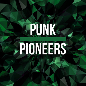Various Artists - Punk Pioneers