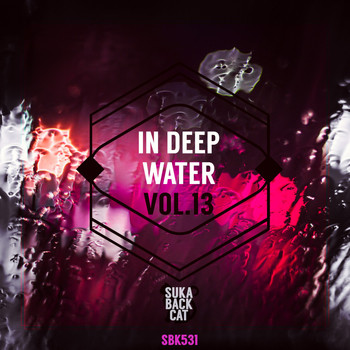 Various Artists - In Deep Water, Vol. 13