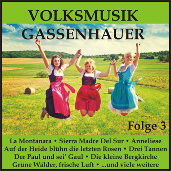 Various Artists - Volksmusik Gassenhauer, Folge 3