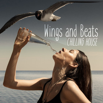 Various Artists - Wings and Beats: Chilling House